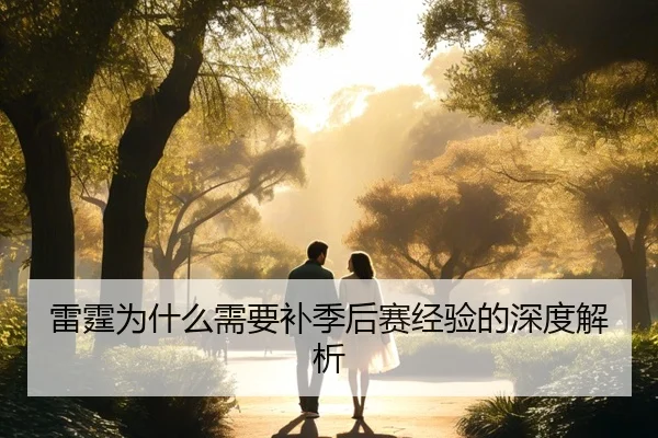 雷霆为什么需要补季后赛经验的深度解析